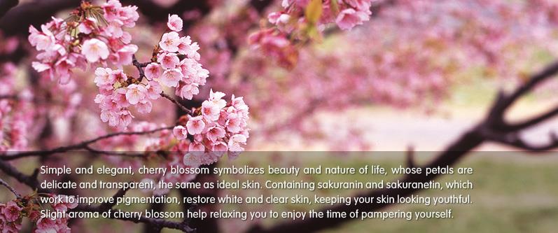Cherry Blossom.jpg