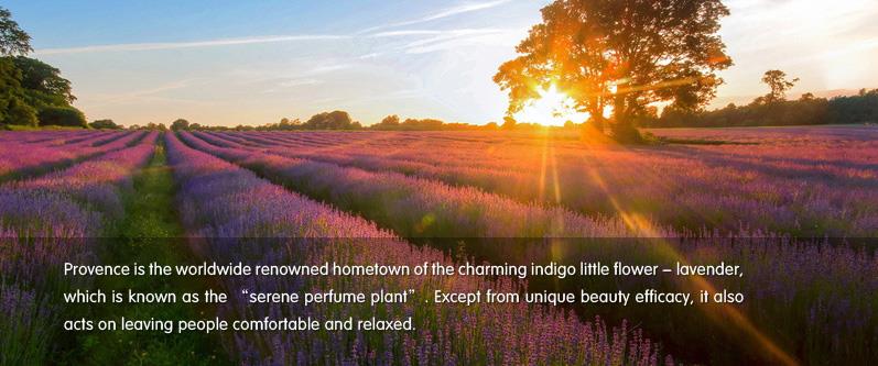 Lavender.jpg