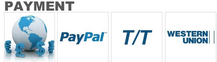 payment.png