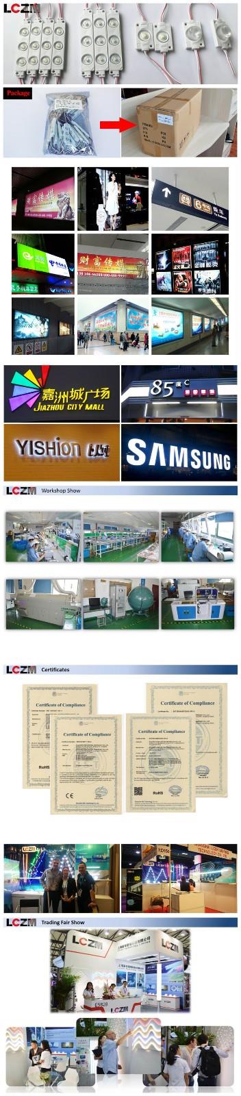 LED module with lens.jpg
