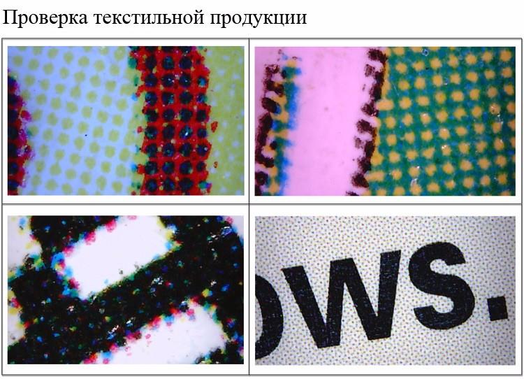 3331887299_1427355197.jpg